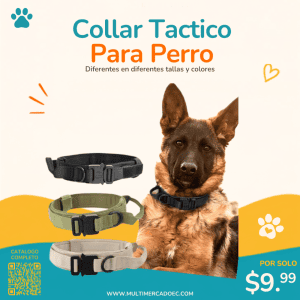 collar tactico para perro