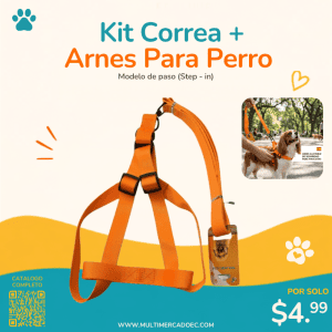 kit correa + arnes para perro