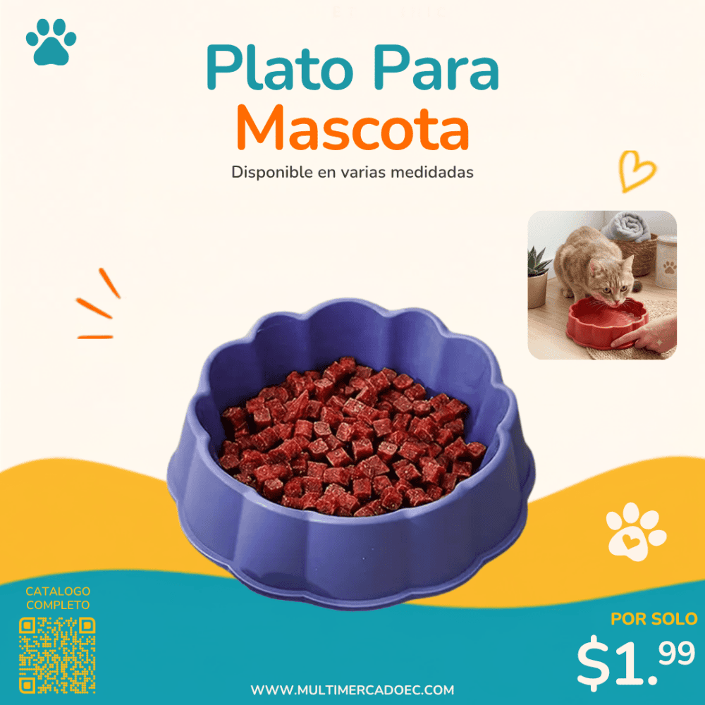 plato para mascota plato para mascota