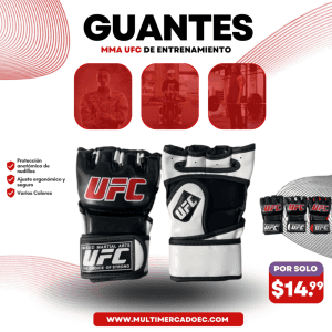 mma ufc de entrenamiento
